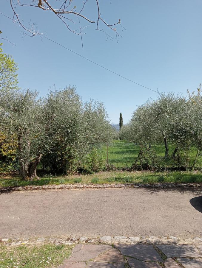 Al Canaiolo Διαμέρισμα Strada in Chianti Εξωτερικό φωτογραφία